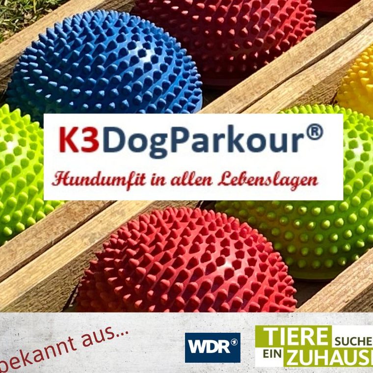 Eure Hundezeit - K3DogParkour® Hundeschule Eure Hundezeit - K3DogParkour®